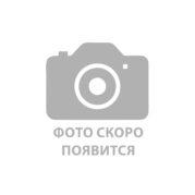 Ферментированный топинамбур (10 гр)